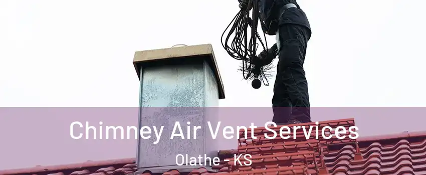 Chimney Air Vent Services Olathe - KS
