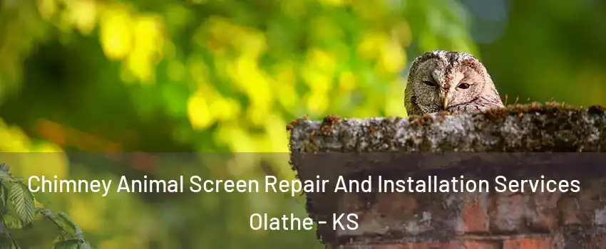 Chimney Animal Screen Repair And Installation Services Olathe - KS