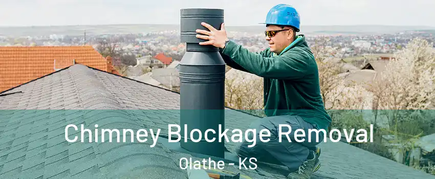 Chimney Blockage Removal Olathe - KS