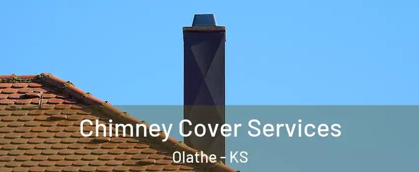 Chimney Cover Services Olathe - KS