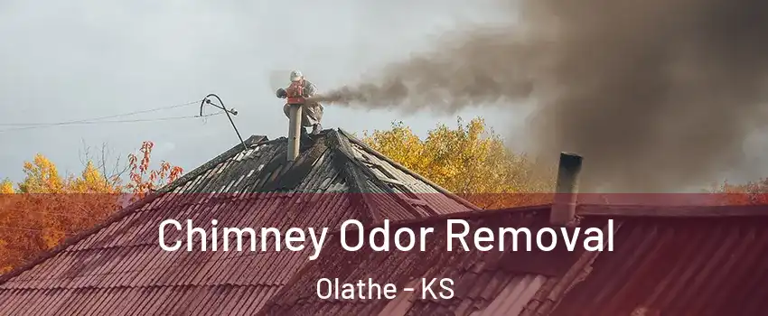 Chimney Odor Removal Olathe - KS