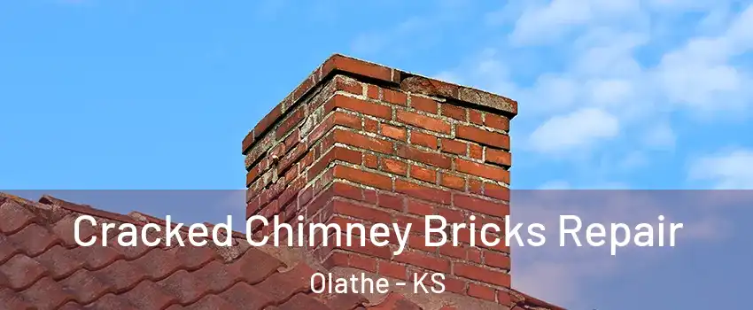 Cracked Chimney Bricks Repair Olathe - KS